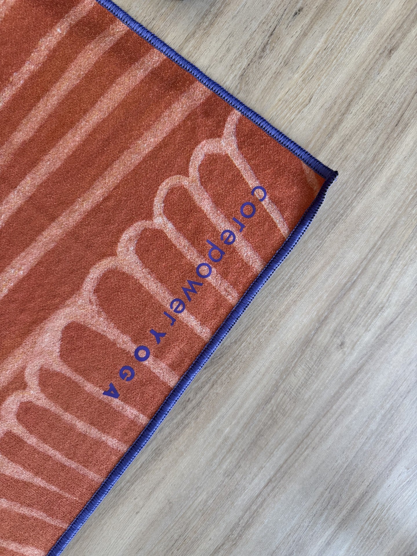 motto_kuma solworks model ソルオル Zoids Realize Model RMZ-010 Canoly Molga & Hell Cat 1/100 Scale